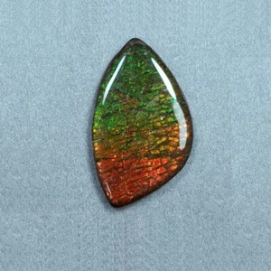 69.00ct Natural AMMOLITE Gemstone Cabochon Fossilized Shell Uneven Shape 52*31mm - Picture 1 of 8