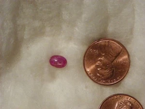 Star Ruby 1,18 quilates 5,18x7,31x3,13 mm. Cabina ovalada transparente inclusiones naturales - Imagen 1 de 2