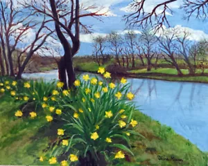 'Daffodils' by The Green Goddess - Diana Moran - Picture 1 of 2