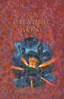 Midnight For Charlie Bone By Jenny Nimmo Paperback 2002