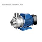 Stainless Steel Centrifugal Pump Corrosion-Resistant Acid Alkali Water Plant