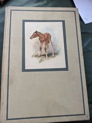1945 THE RED PONY John Steinbeck ILLUSTRATED EDITION Wesley Dennis VIKING 669 - Image 1 of 4
