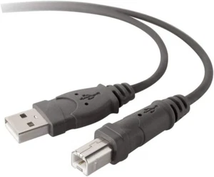 Belkin USB Kabel USB-A USB-B Stecker Ladekabel 1,8 m Datenkabel Männlich - Bild 1 von 5