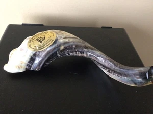 Nuevo con etiquetas Barshet & Ribak Shofarot Israel Kosher Rams Cuerno Shofar Completo Pulido - Imagen 1 de 3