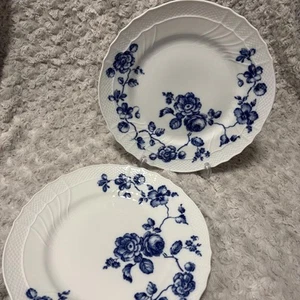 Juego de 2 platos de cena Richard Ginori rosa azul de cerámica de 10,43 pulgadas - Imagen 1 de 8