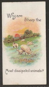 WILLS-CONUNDRUMS 1898 (WITH ALBUM CLAUSE)-#04- QUALITY CARD!! - Picture 1 of 2