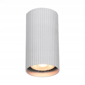 RILOK Silver Round Surface Mounted Ceiling Light Downlight Spot GU10 - Picture 1 of 1