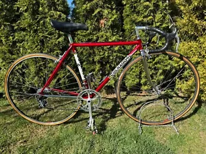 Colnago Super Profil size 49! - Bild 1 von 24
