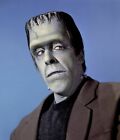 381958 The Munsters 1964 Fred Gwynne Herman Munster WALL PRINT POSTER AU