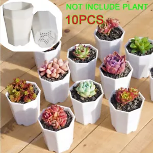 10x Planta de plástico flor macetas octogonales habitación infantil plántula maceta suculenta - Imagen 1 de 12