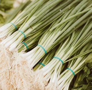 600 Seeds Shallot Long White Bunching Heirloom Lovely Soup Make an Offer - Picture 1 of 2