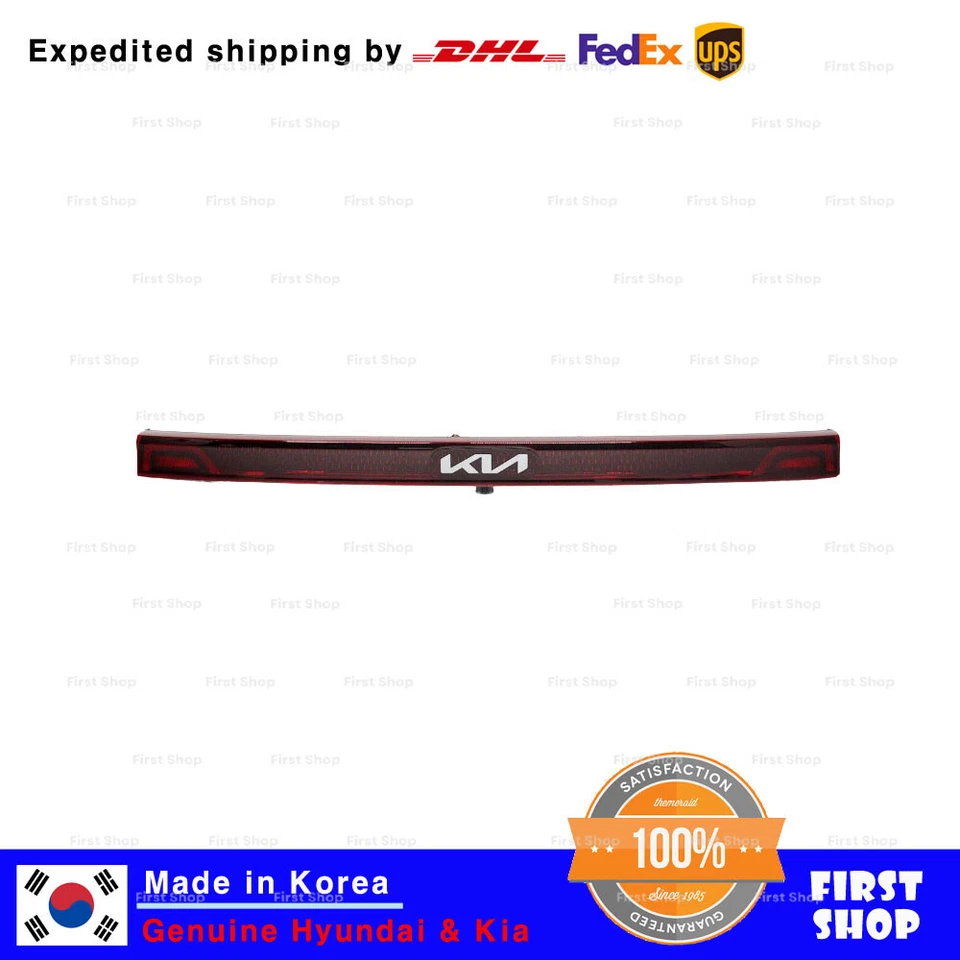 Original OEM 92409R0210 Lámpara ASSY Decoración Central para Kia Sedona Carnival 22-24 Foto 1 de 2