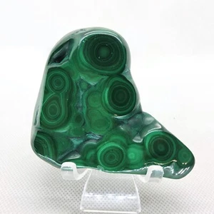 Malachit, 3", poliert, Freiform, Display, Exemplar, mineralisch, grün, #R-5529 - Bild 1 von 10