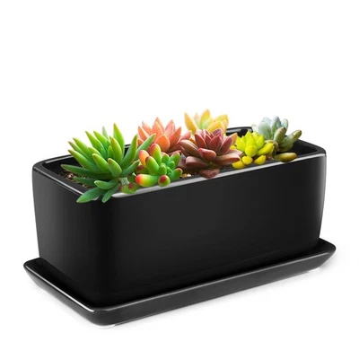 10" Rectangular Ceramic Succulent Planter Pot Container Window Box with Tray - Image 1 of 4