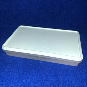 Vintage Tupperware Rectangular Bacon Deli Cold Cuts Keeper Mint Green & Clear - Picture 1 of 3
