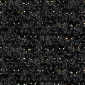 Feline Drive Fabric WICKED Black Cat Magic Halloween - Fat Quarter (18"x22") FQ - Picture 1 of 7