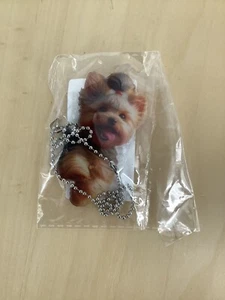 YORKIE Yorkshire Terrier Hund an Kette - Bild 1 von 1