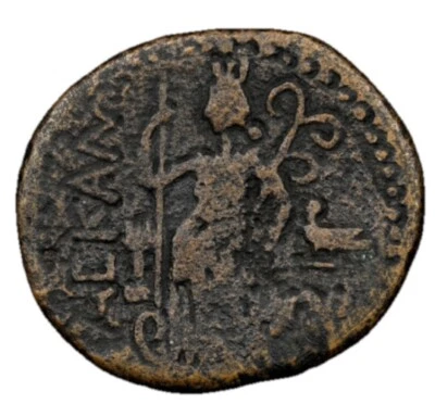 JUDAEA Ascalon Domitian 81-96 AD, AE 24 Roman Empire Bronze Coin Yr 84/5 NGC - Image 1 of 4