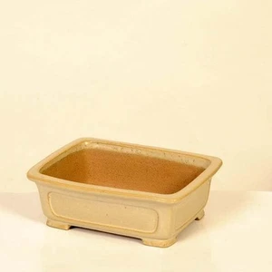Bonsai Pod Modern small bowl Shibakatsu rectangular bowl Shibakatu 19.6cm - Picture 1 of 3