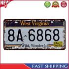 Vintage Metal Tin Sign Plaque Wall Vehicle License Plate Iron Painting 30x15cm