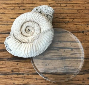 Cristal Seiko Hardlex genuino despegue de SKX007 SKX009 ~ Vendedor de EE. UU. + Envío rápido - Imagen 1 de 1