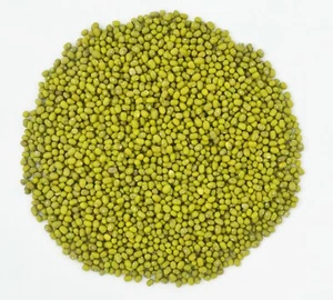 Whole Mung Bean ORGANIC aka'Green Gram' 'Maash' 'Moong' Prewashed Clean Safe - Picture 1 of 7