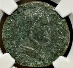 Galba AE Dupondius AD 68-69 SPQR OB CV SER Oak Wreath NGC F 5/5 3/5 - Picture 1 of 4
