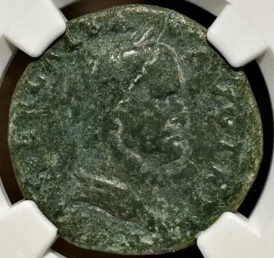 Galba AE Dupondius AD 68-69 SPQR OB CV SER Oak Wreath NGC F 5/5 3/5 - Image 1 of 4