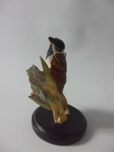 Nuestra hermosa colección de aves musgo águila Andy Pearce Die Rohrammer - Imagen 1 de 5