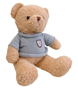 Rupert Plush Bear - Picture 1 of 1