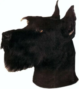 Aufkleber Schnauzer 125 x 110 mm  Auto Aufkleber Sticker - Bild 1 von 1