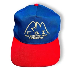 Red Mountain Feed & Irrigation Hunter Irritrol Blue Red Ball Cap Hat Snapback - Picture 1 of 9