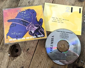 Toad The Wet Sprocket – Fall Down (CD Single 1994) Vintage Folk/Alternative Rock - Picture 1 of 2