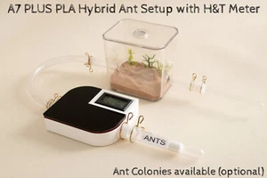 Ant Farm Hybrid Nest Formicarium House Complete Setup A7 PLUS Best Ants UK LoVe - Picture 1 of 9