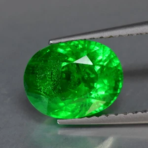 2.74Ct Oval_Superb 100% Natural Vivid Green Tsavorite Garnet From Tanzania - Picture 1 of 1