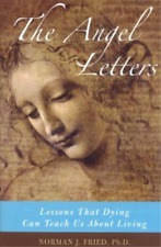 Norman J. Fried The Angel Letters (Hardback) (UK IMPORT)