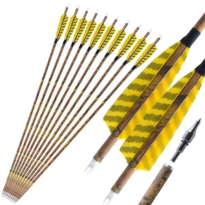 6/12 30" Carbon Arrows SP500 4" Feather Compound Recurve Bow Archery Hunting - Picture 1 of 10