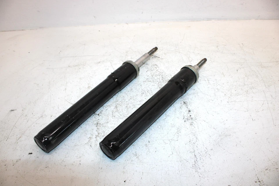 Polaris Sportsman 700 2004 OEM par de puntales delanteros 7041761 AP143 Foto 1 de 4