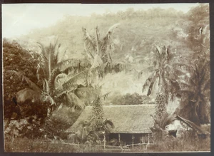 Indochine coloniale COCHINCHINE, Nuy Sam, Vintage citrate print 1902 - 12x16,5 - Bild 1 von 1