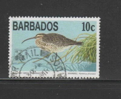 巴巴多斯 #861 1994 10c 鸟类 F-VF 二手 — 第 1/2 张图片