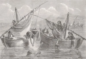 SYRIA. Diving for sponges, coast of Syria 1862 old antique print picture - Picture 1 of 1