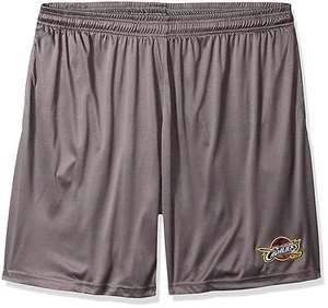 Cleveland Cavaliers NBA Men's Gray Team Logo Athletic Performance Shorts: XL-3XL - Picture 1 of 2