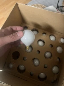 40w Globe Incan Decorative Bulb (2600k) (25-Pack) - Picture 1 of 13