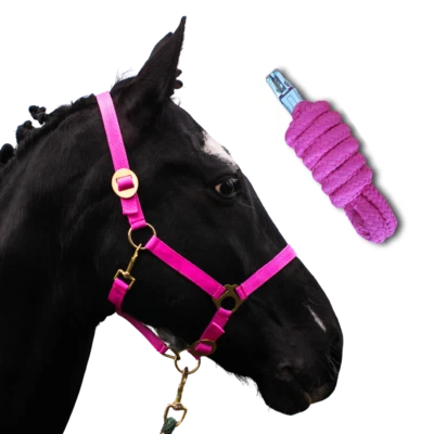 PFERDELINIS Halfter Set / Halfter mit Strick Shetty Shetland 2Fach verstellbar Pferdehalfter