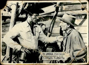 IMN06388 stephen forsyth actor cinema movie film industry 6x9 cm - Picture 1 of 2