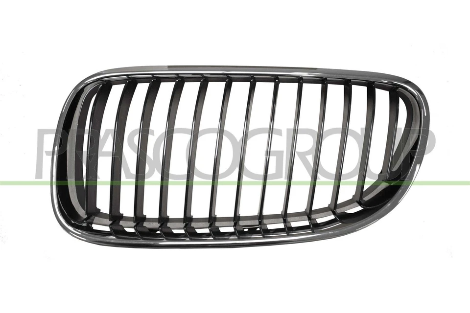 Rejilla De Radiador BM0252044 PRASCO Para BMW - Imagen 1 de 1