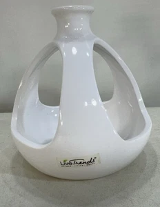 Live Trends Hanging Planter Succulents Cactus Air Plants - Picture 1 of 10