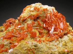 Krokoit Adelaide Mine Dundas Tasmanien Australien - Bild 1 von 6