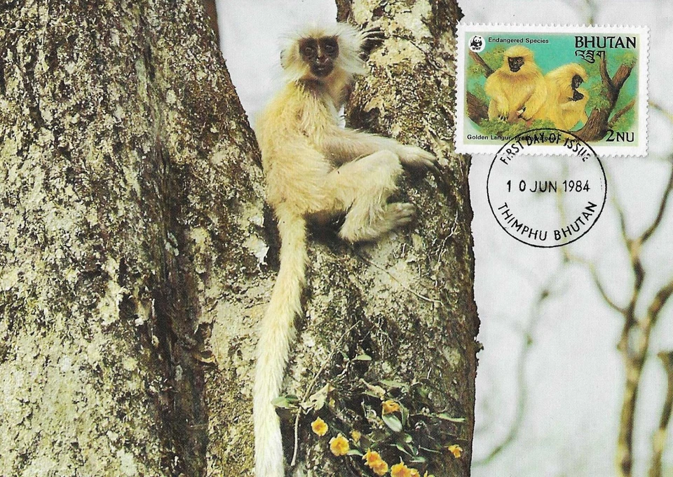 Golden Langur Monkeys Only 2000 Remaining Endangered Species Bhutan FDC 1984 - Image 1 of 1