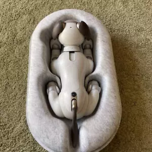 Aibo Haupteinheit ERS1000 mit Product Key SONY Spielzeug Hobbys Ware Hund Haustier - Bild 1 von 10